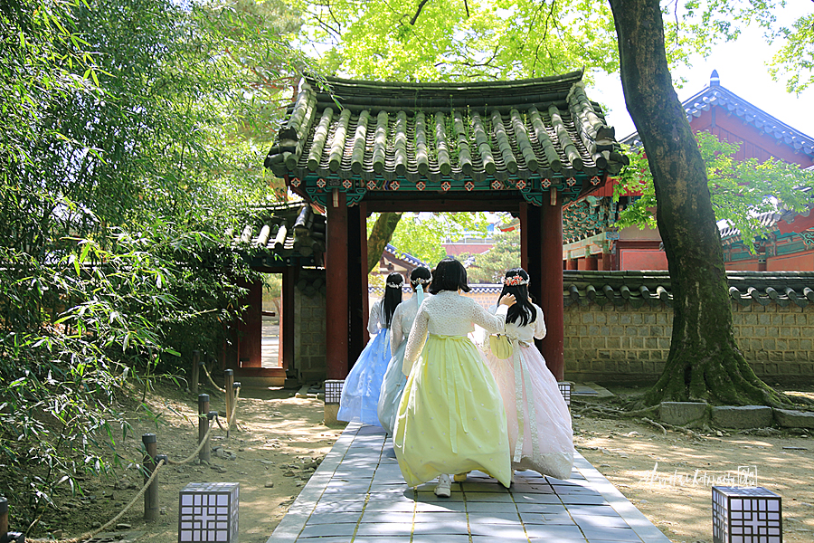 전북 여행 전주 한옥마을 가볼만한곳 한복 & 전주 경기전~