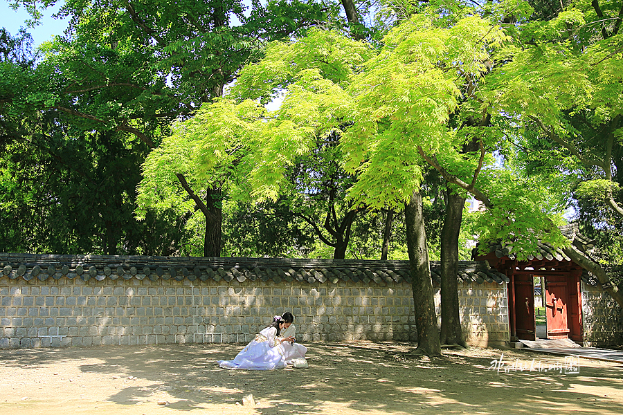 전북 여행 전주 한옥마을 가볼만한곳 한복 & 전주 경기전~