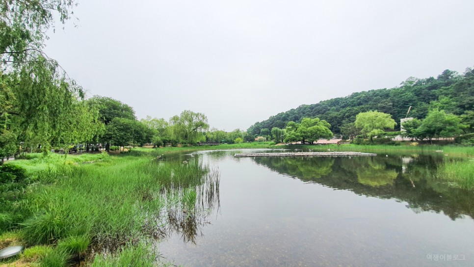 서울 가볼만한곳 공원 추천 보라매공원 볼거리 많았던 나들이