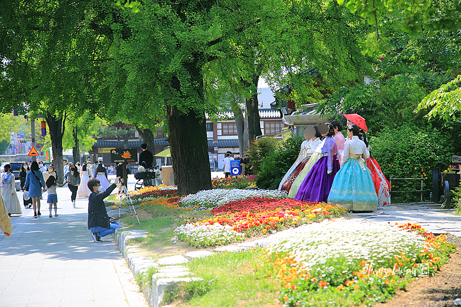 전북 여행 전주 한옥마을 가볼만한곳 한복 & 전주 경기전~