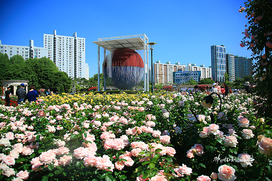 서울 여행지 올림픽공원 들꽃마루 서울 한적한곳 사진찍기 좋은곳