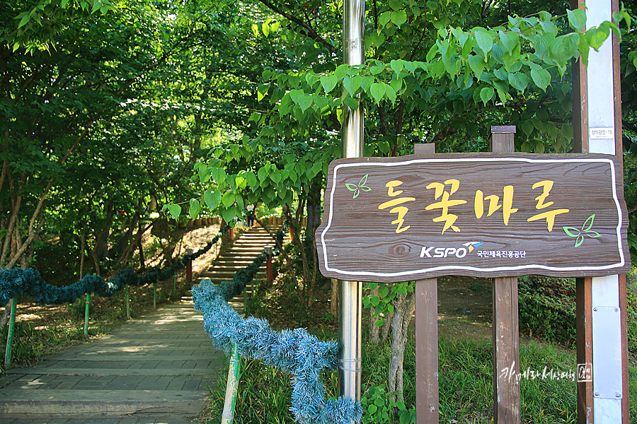서울 여행지 올림픽공원 들꽃마루 서울 한적한곳 사진찍기 좋은곳