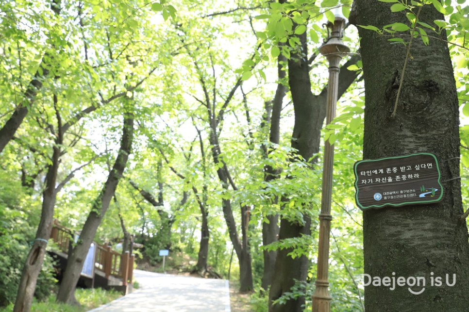 테미예술창작센터에서 예술 감성 올리고 산책로 따라 힐링하는 수도산의 테미근린공원