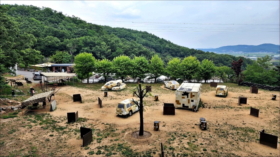 강화도 갈만한곳 티앤림레포츠파크 전등사 강화도 놀거리 볼거리!