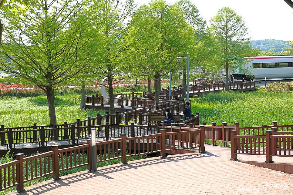 경기도 놀러 갈만한곳 글램핑 추천 의왕 레솔레파크 공원