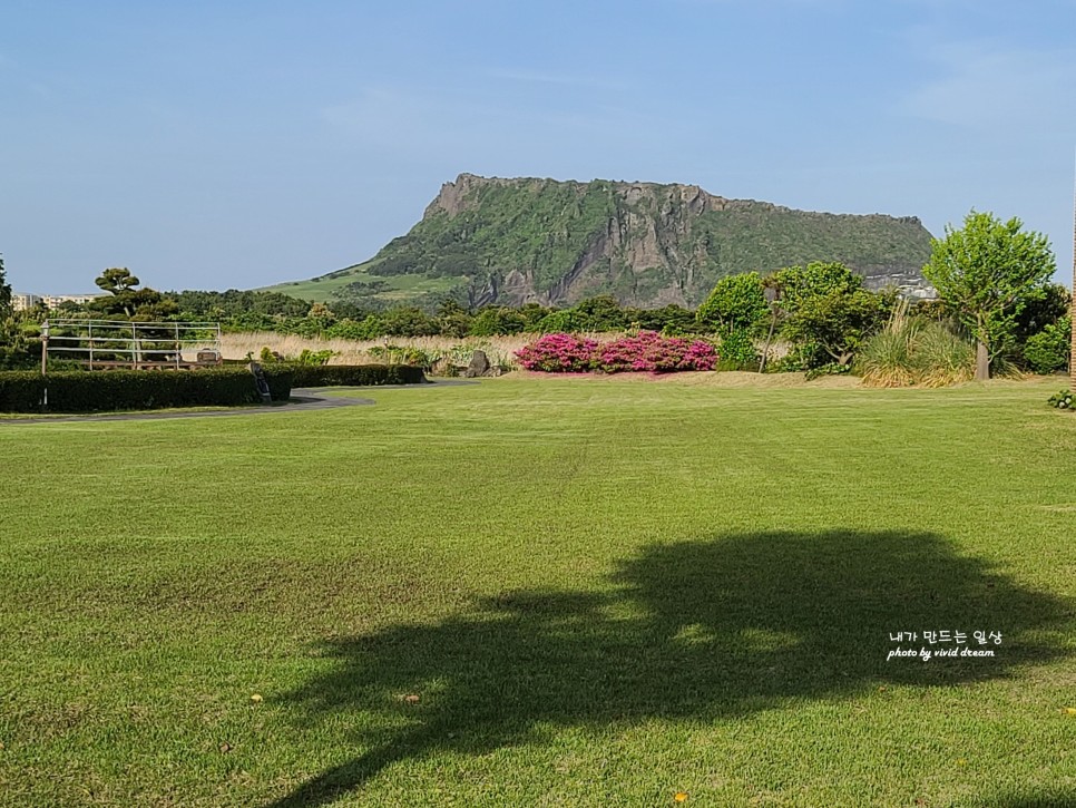 제주 동쪽 카페 성산여행코스