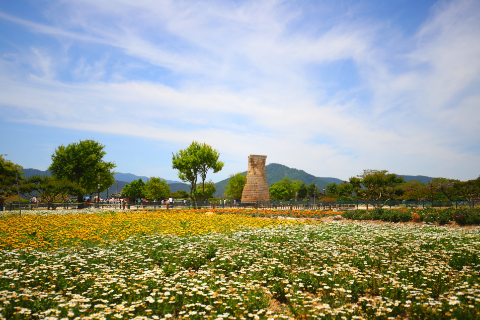 대한민국 숙박대전 함께 떠나는 제주 휘닉스 섭지코지