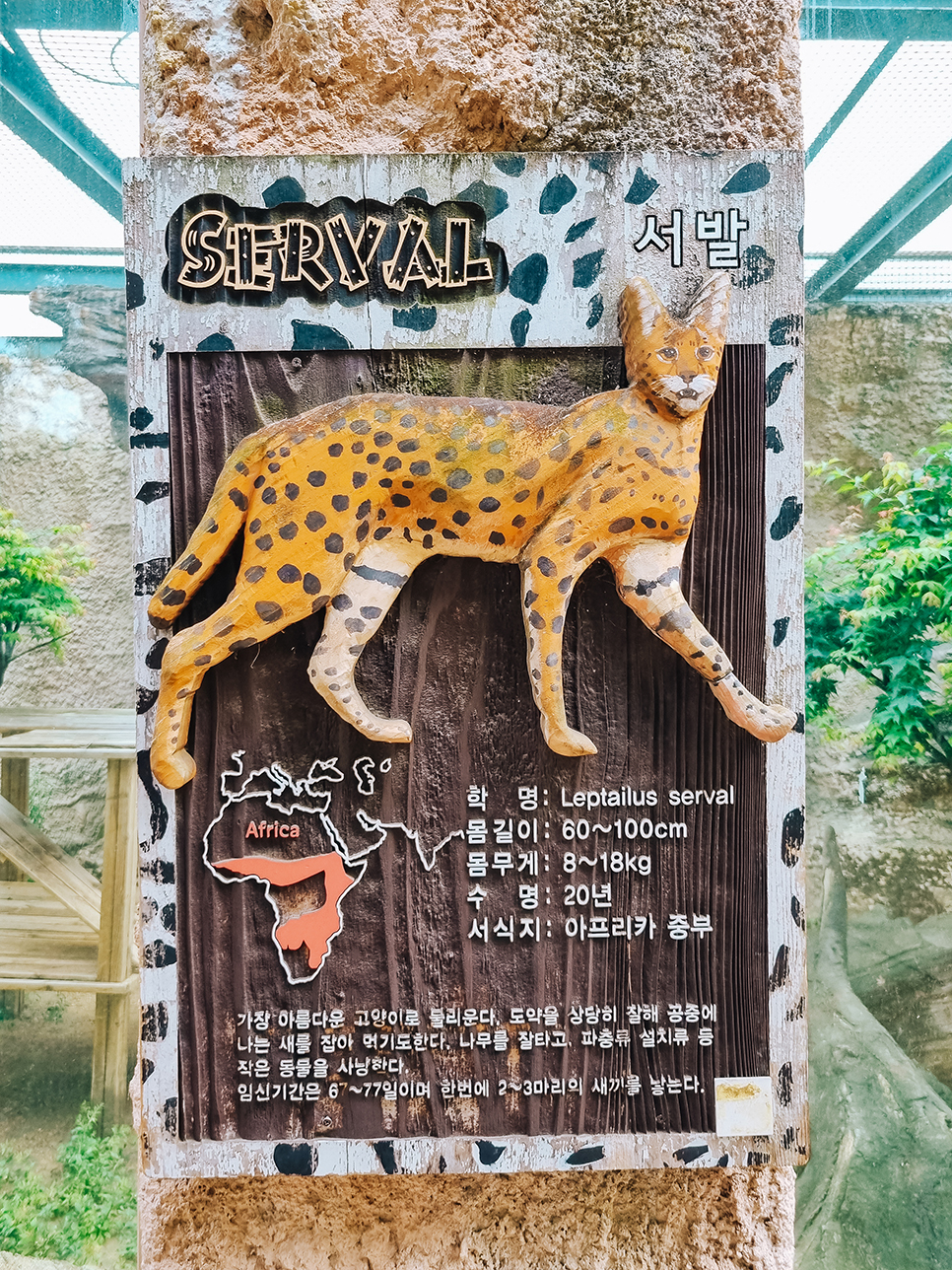 서울어린이대공원 산책하기 좋은곳 동물원 구경