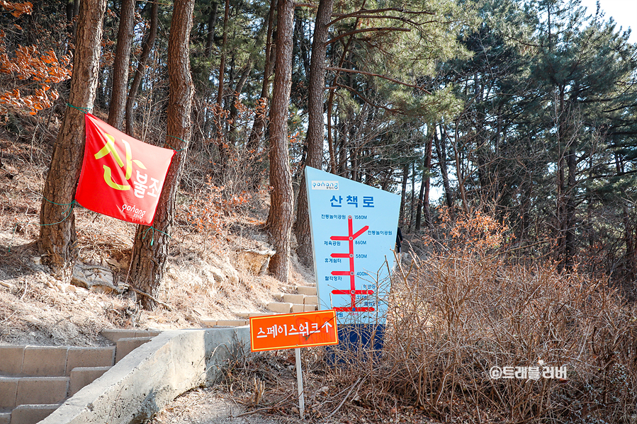 포항 스페이스워크 환호공원 포항 스카이워크