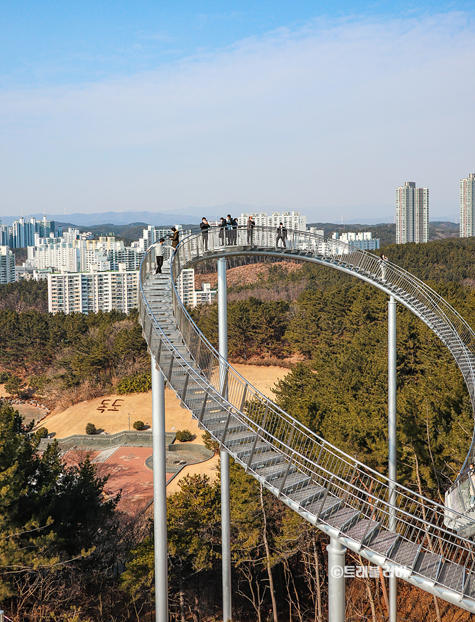 포항 스페이스워크 환호공원 포항 스카이워크