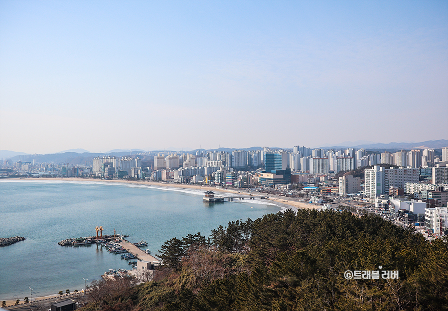 포항 스페이스워크 환호공원 포항 스카이워크