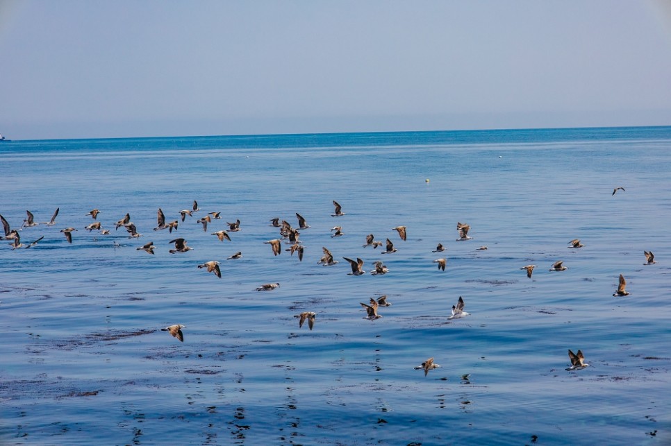 경북 포항 가볼만한곳 : 호미곶 상생의 손 멋짐