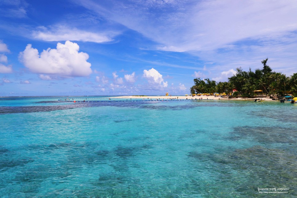 미국 입국 코로나 검사 폐지 괌 입국 사이판은?