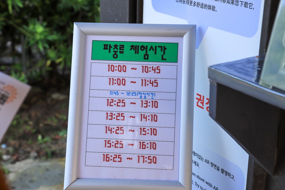 아이들과 가볼만한곳 실내 제주도 동쪽 코스 고흐의 정원 입장권 할인