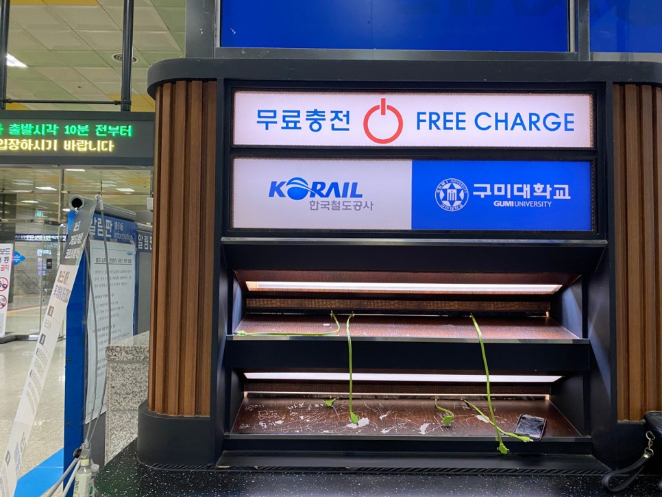국내기차여행 서울역- 구미역 열차내 취식 가능