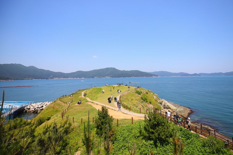 거제 가볼만한곳 6월 꽃축제 지세포 라벤더 공원