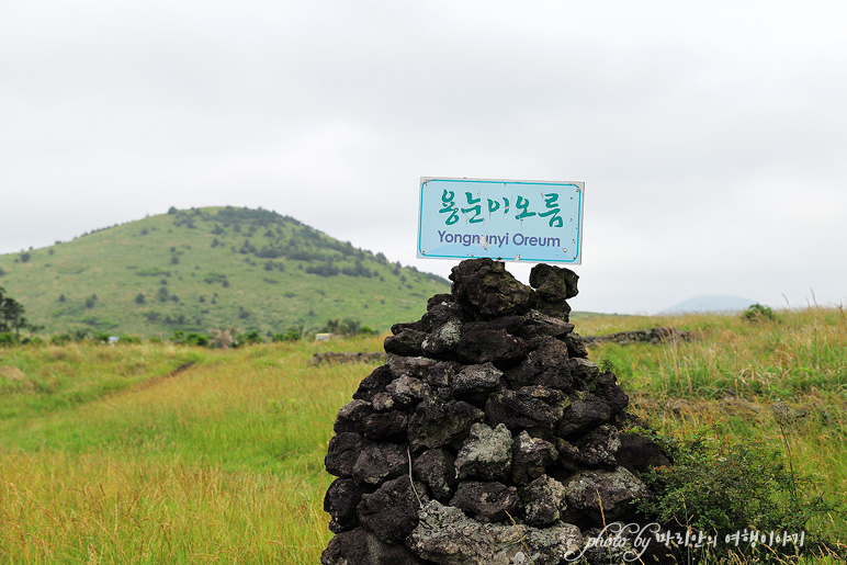 제주 여행 놀거리 있는 제주도 7월에 가볼만한곳