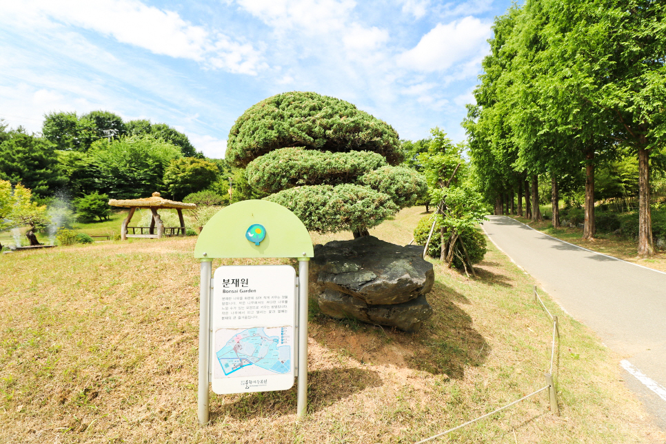 서울 근교 나들이 경기도 오산 물향기수목원 한바퀴