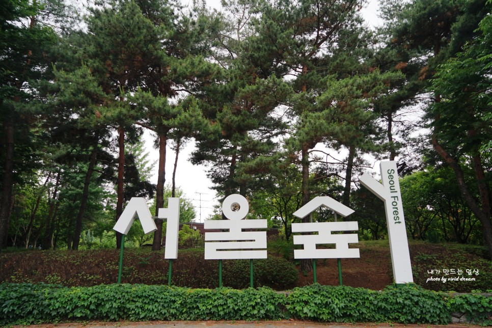서울 가볼만한곳 성수동 서울숲 데이트코스 주차요금