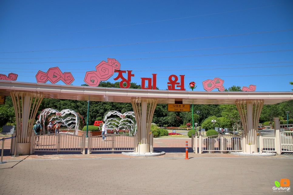 울산대공원 장미원 장미공원 장미축제 울산 볼거리