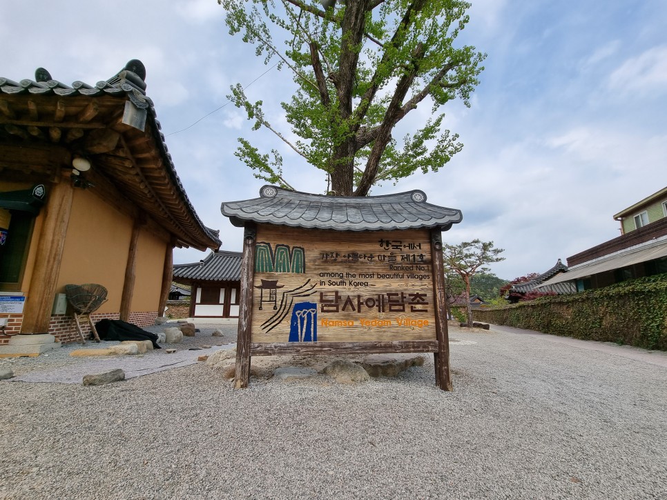 7월 제주도 여행 수국 핀 제주 관광지 먹거리까지