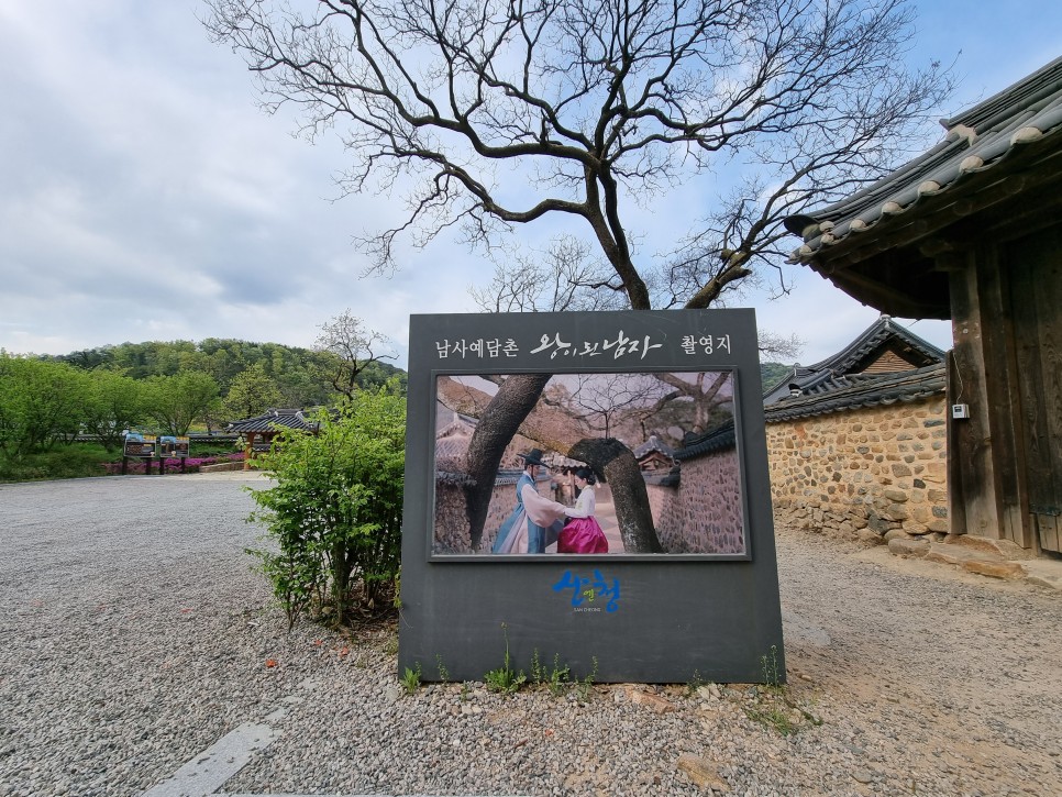 7월 제주도 여행 수국 핀 제주 관광지 먹거리까지