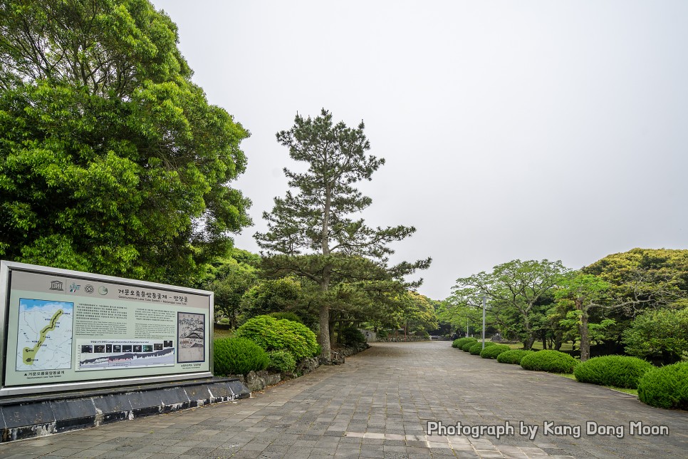 국내여행 추천 제주 동쪽 가볼만한곳 동굴 탐험 제주도 가족여행 코스 만장굴