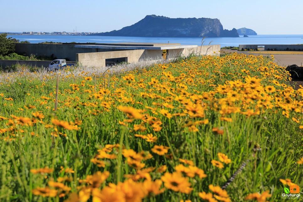 제주 동쪽 가볼만한곳 제주 관광지 놀거리 제주 여행코스 추천