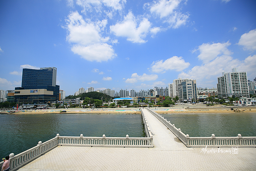 포항 영일대 해수욕장 전망대 장미원 포항 장미