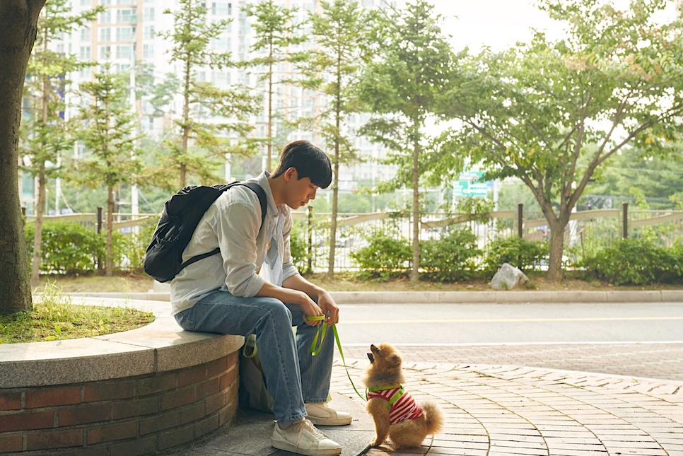 영화 룸쉐어링 예고편 최우성 나문희 줄거리 정보