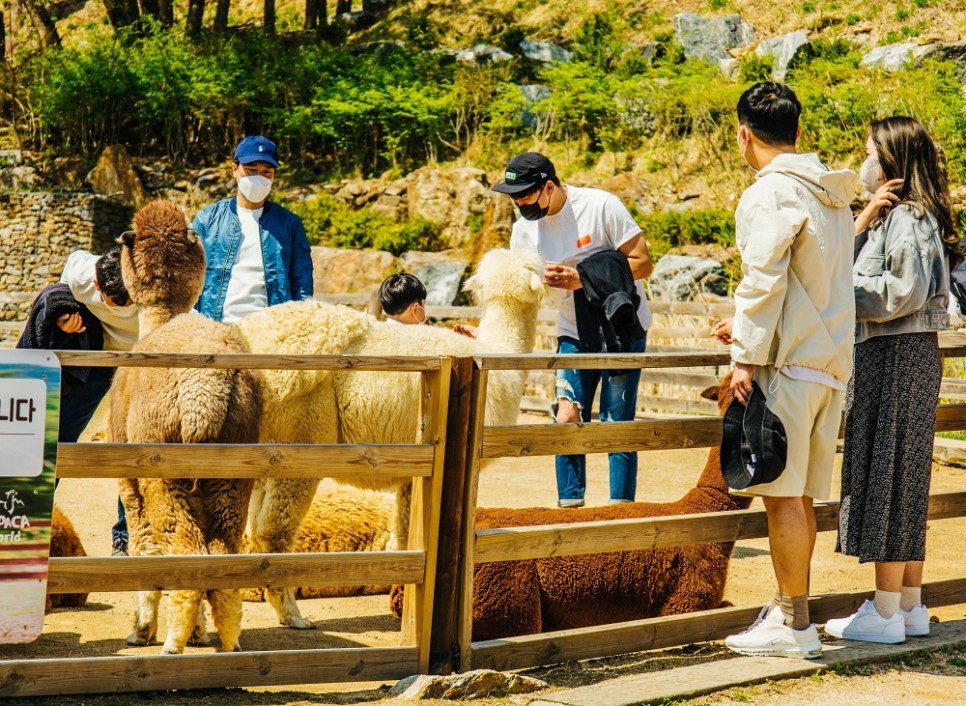 올 여름 강원도 여행지 추천 춘천, 홍천, 속초, 고성, 양양 가볼만한곳