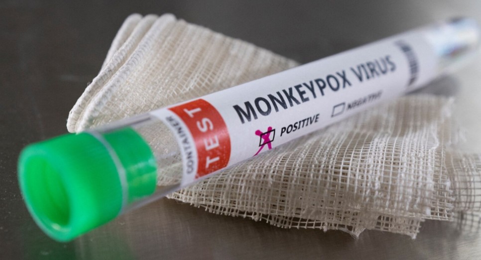 원숭이두창 국내 확진자 발생 증상 전파력 잠복기 백신 예방 효과 감염경로