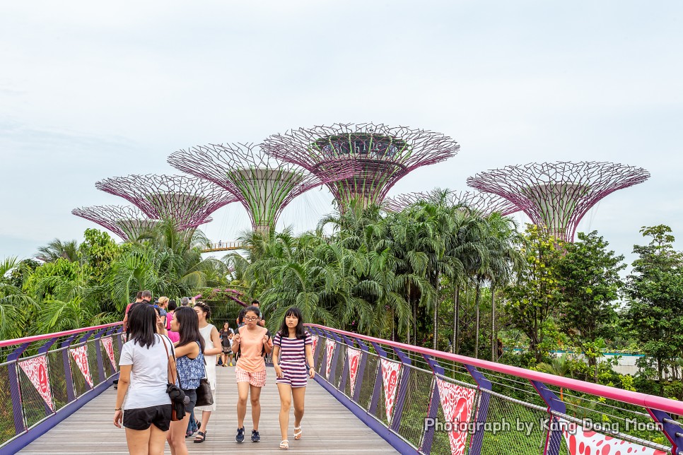 해외 여행지 추천 싱가폴 여행 거대한 싱가포르 가든스바이더베이