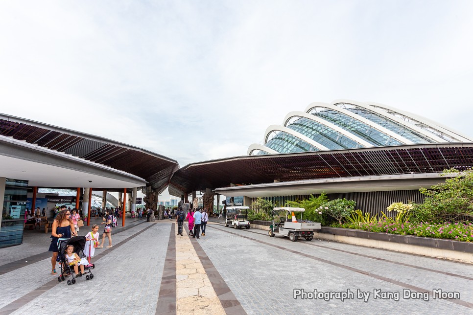 해외 여행지 추천 싱가폴 여행 거대한 싱가포르 가든스바이더베이