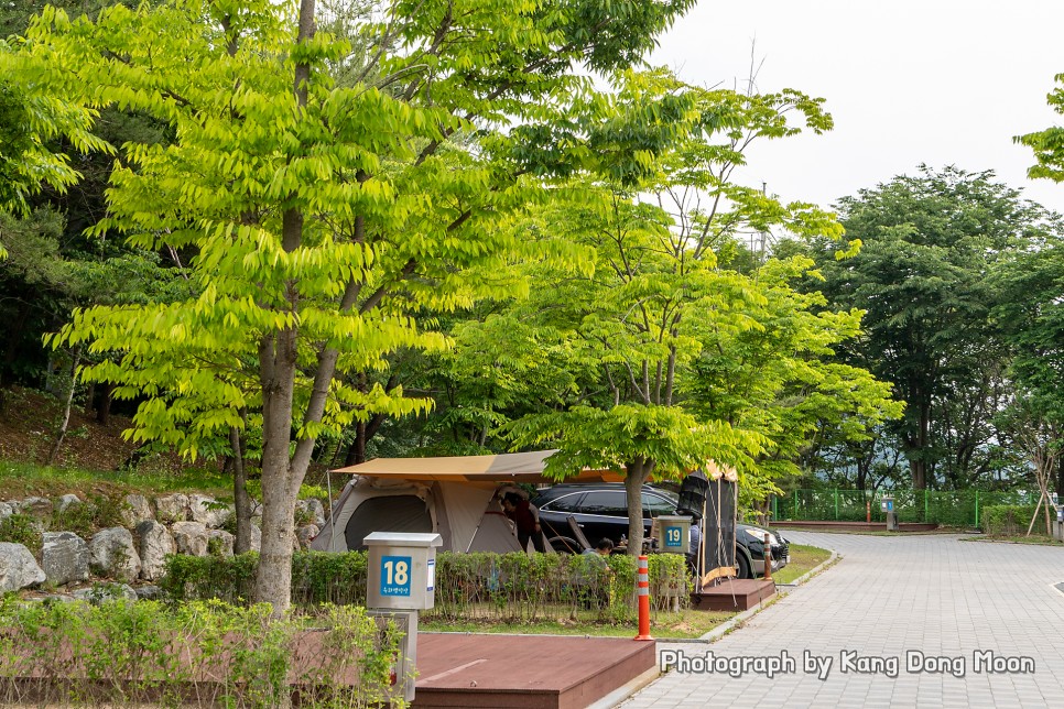 충청도 여행 청주 아이와 가볼만한곳 충북 캠핑장 추천 옥화자연휴양림 오토 캠핑
