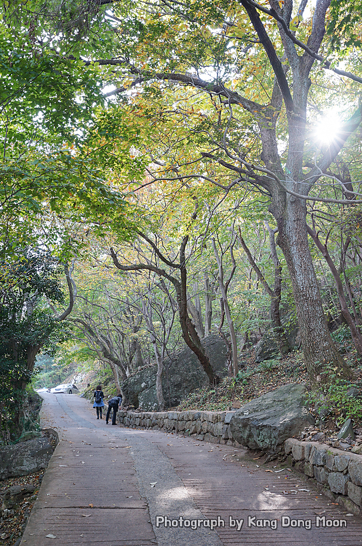 전남 여행지 추천 전라도 여수 가볼만한곳 당일치기 코스 여수 가족여행 볼거리 향일암