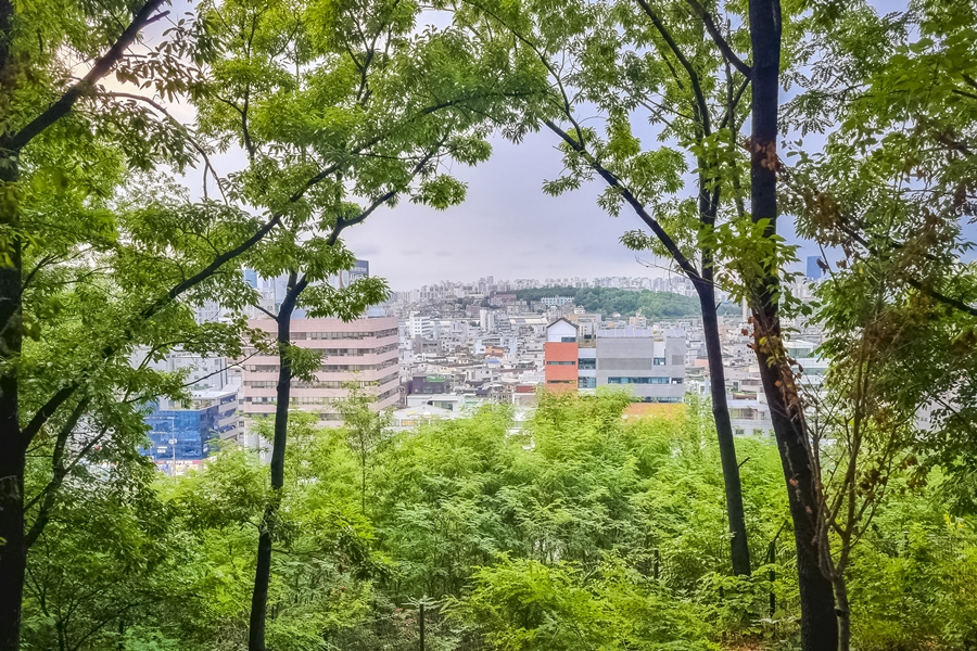 장마시즌 신림근린공원 기록, 블챌 주간일기 3주차