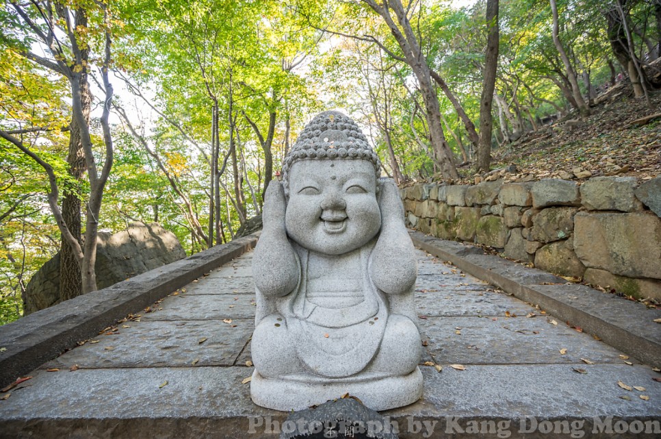 전남 여행지 추천 전라도 여수 가볼만한곳 당일치기 코스 여수 가족여행 볼거리 향일암