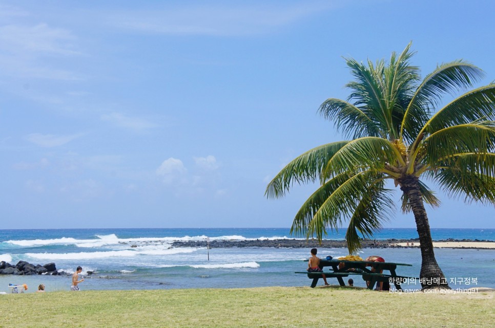 하와이 렌트카 비용 보험 가격 비교 최저가로 예약하기