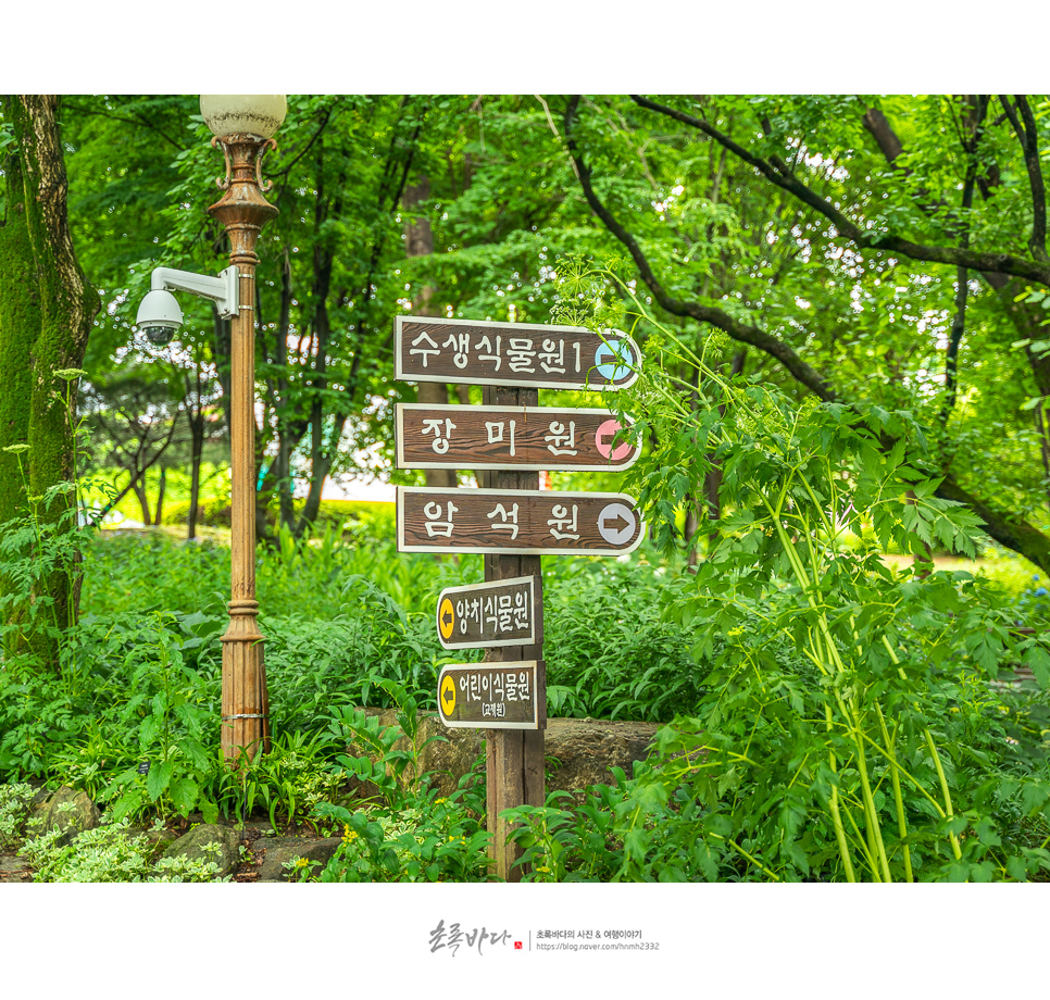 국내 가족여행 국내 조용한 여행지 한국도로공사 전주 수목원