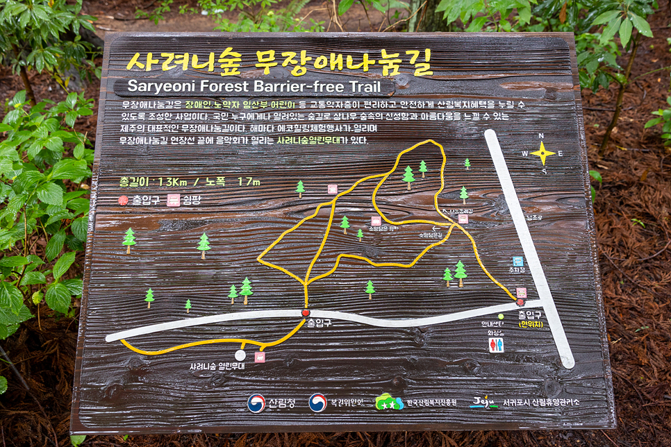 제주 사려니숲길 제주 비올때 숲길 산책 제주 날씨