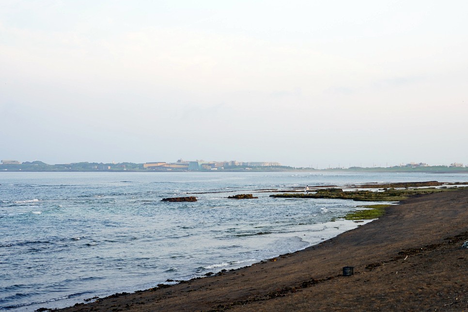 제주 성산 가볼만한곳 광치기 해변 일대 제주도 관광지 코스