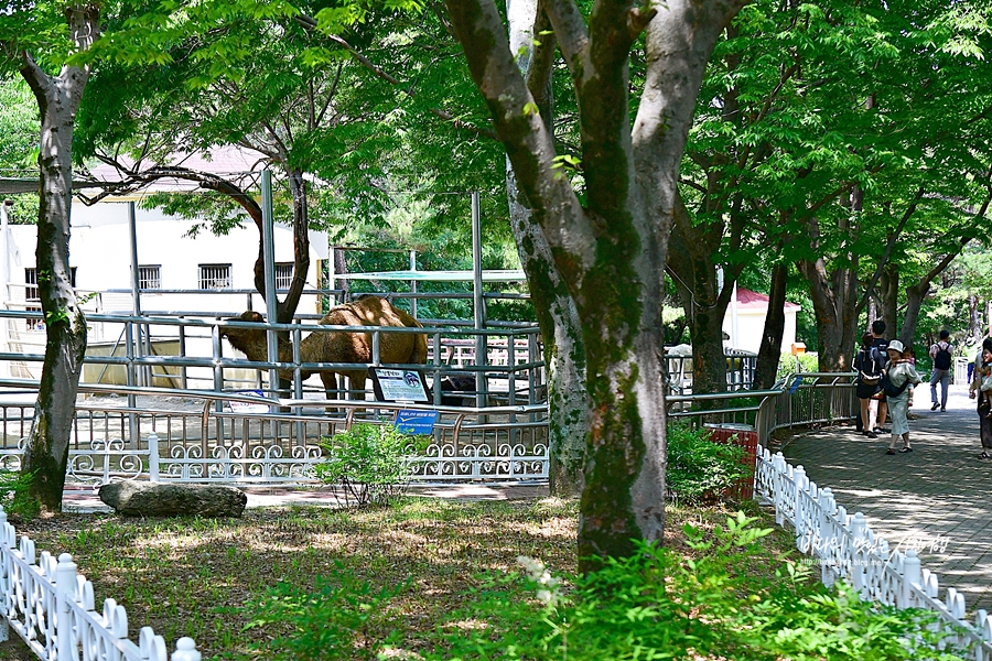 진주 가볼만한곳 진주 중앙시장 진주 진양호 공원 등 5곳~