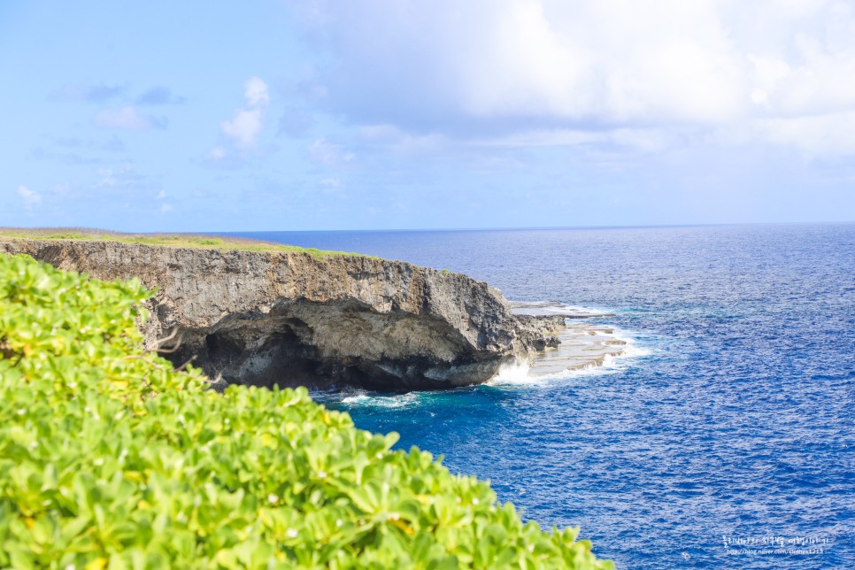 괌여행 액티비티 돌핀크루즈 30%할인 여름휴양지 이벤트