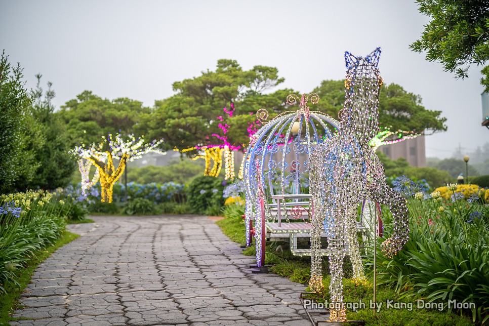 제주도 수국 축제 행복한 7월 제주 가볼만한곳 제주도 가족여행 코스