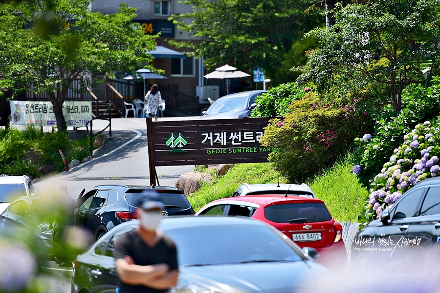 거제도 갈만한곳 거제 파노라마 케이블카 타고 거제옥화마을 무지개해안도로