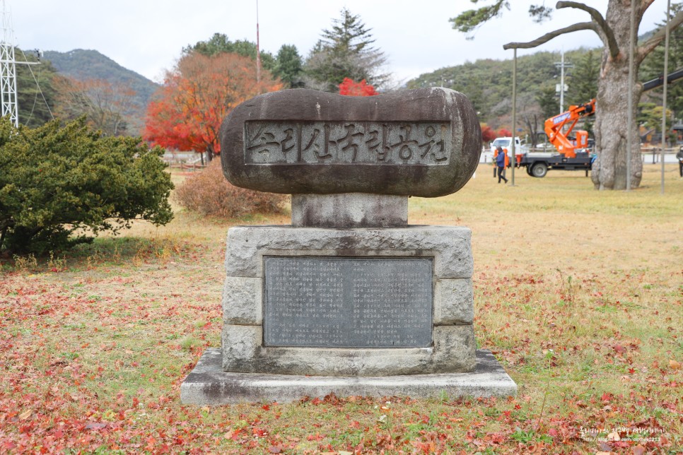 충북 보은 가볼만한곳 속리산 법주사 국립공원 말티재 전망대 세조길