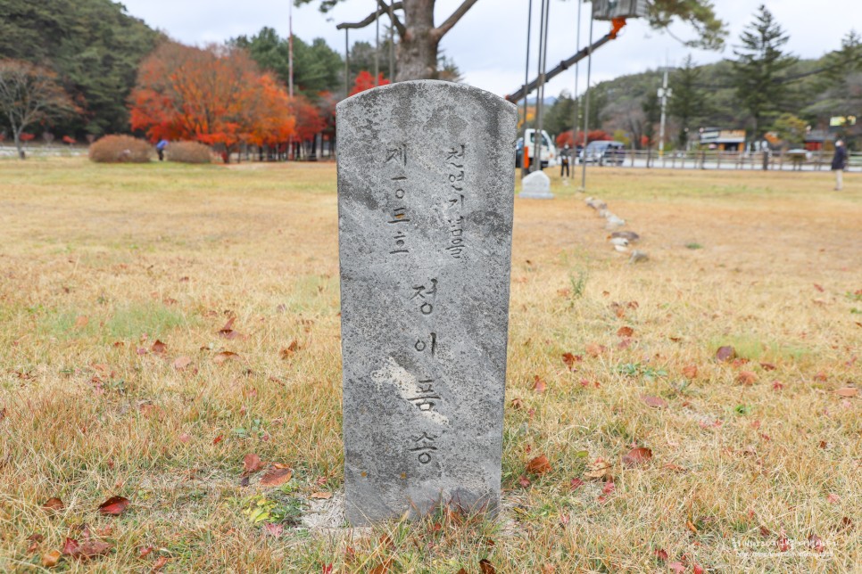 충북 보은 가볼만한곳 속리산 법주사 국립공원 말티재 전망대 세조길