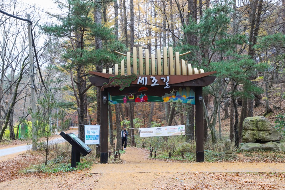 충북 보은 가볼만한곳 속리산 법주사 국립공원 말티재 전망대 세조길