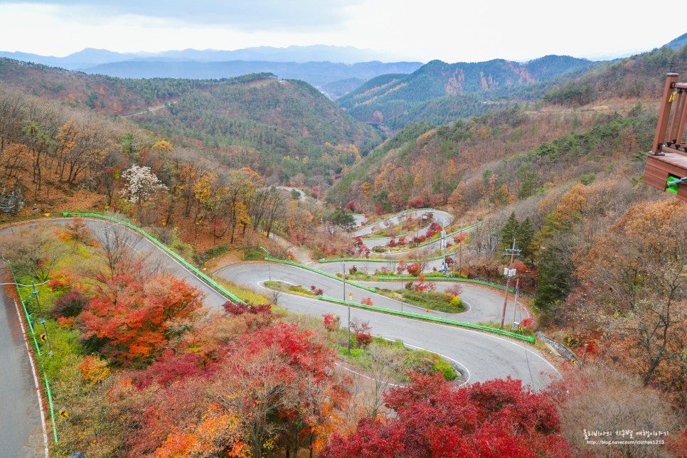 충북 보은 가볼만한곳 속리산 법주사 국립공원 말티재 전망대 세조길